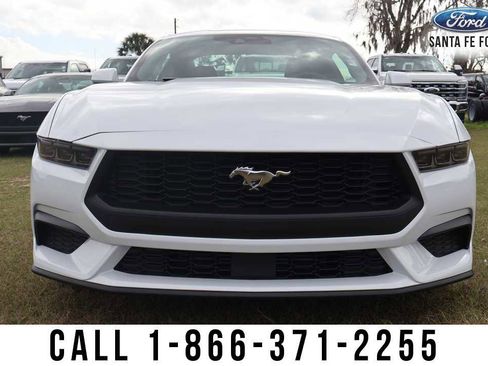 New 2026 Ford Mustang EcoBoost image 9