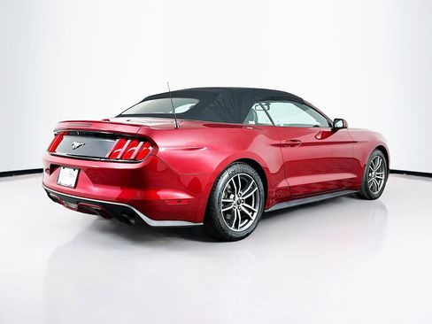 Used 2016 Ford Mustang Premium w/ Equipment Group 201A image 9