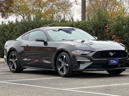 Certified 2023 Ford Mustang Coupe w/ Equipment Group 101A image 9