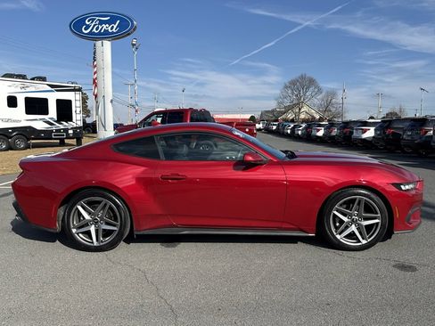 Used 2024 Ford Mustang EcoBoost image 2