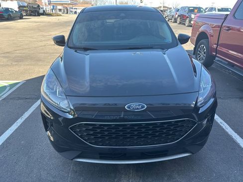 Used 2021 Ford Escape SE w/ Convenience Package image 2