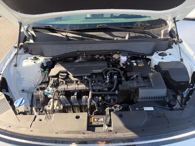 Used 2025 Hyundai Kona SEL AWD/4WD image 27