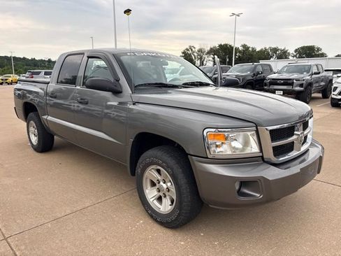 Used 2010 Dodge Dakota ST RWD image 1