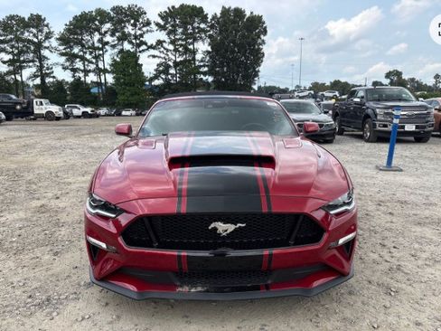 Used 2021 Ford Mustang GT Premium w/ Equipment Group 401A RWD image 2