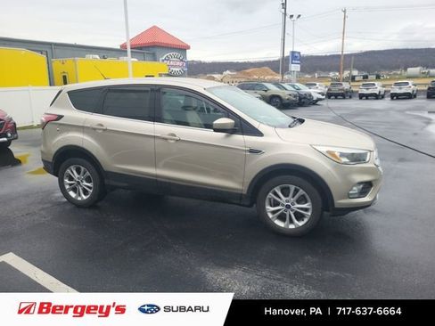 Used 2017 Ford Escape SE w/ SE Cold Weather Package image 5