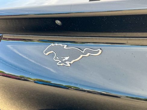 Used 2025 Ford Mustang Mach-E Premium AWD/4WD image 17