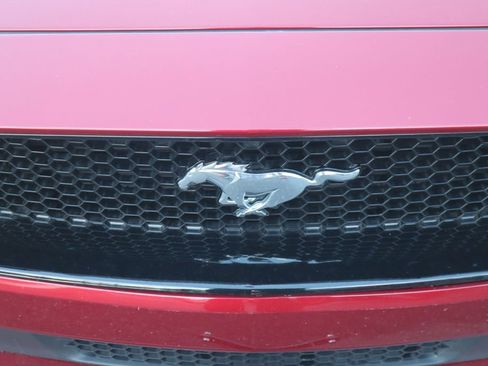 Used 2019 Ford Mustang GT Premium image 31