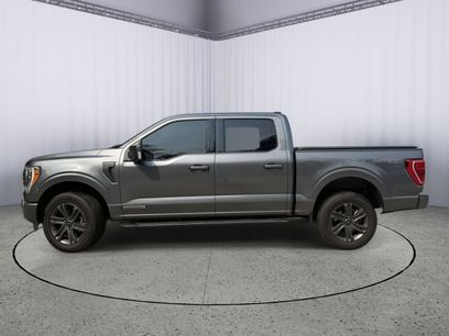 Used 2023 Ford F150 XLT w/ Equipment Group 302A High