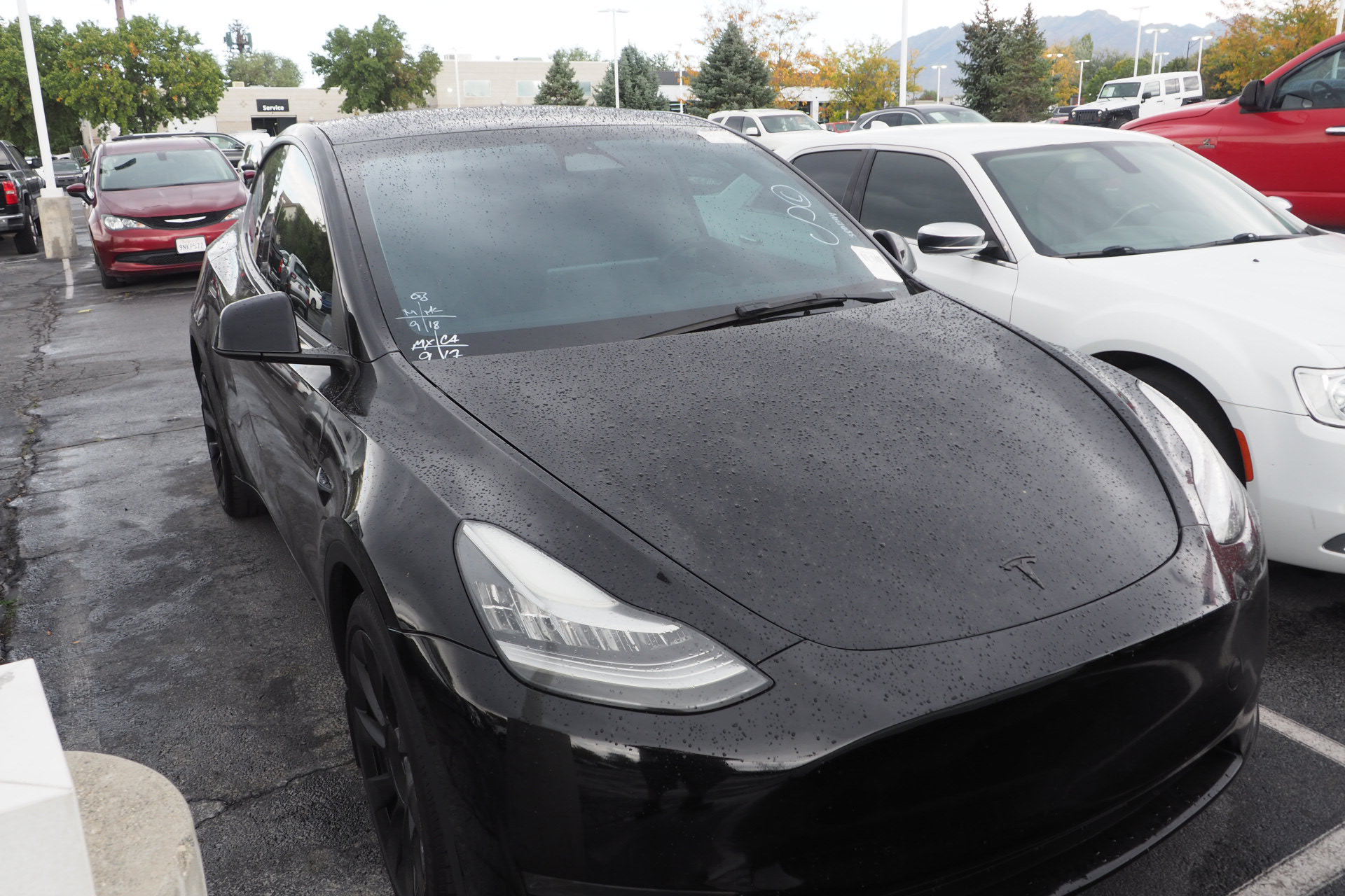 Used 2023 Tesla Model Y Long Range AWD/4WD image 2