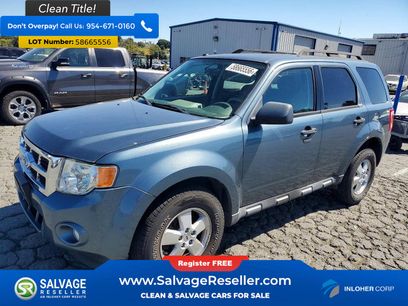 Used 2010 Ford Escape XLT