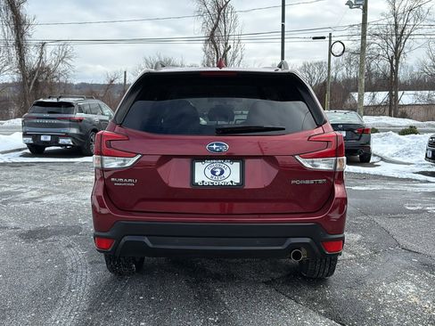 Used 2019 Subaru Forester Limited image 4