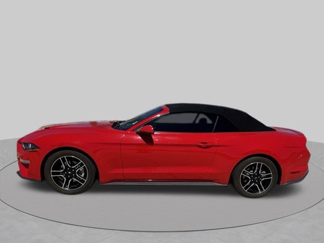 Used 2019 Ford Mustang Premium RWD image 2
