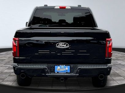 New 2026 Ford F150 STX w/ F-150 LOBO Package