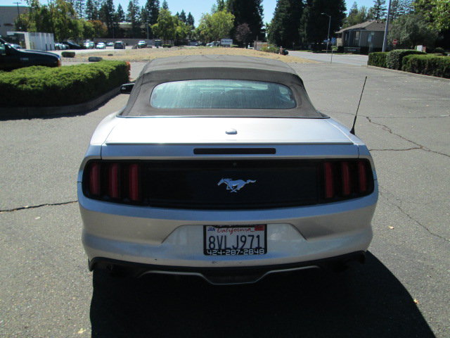 Used 2015 Ford Mustang Premium RWD image 6