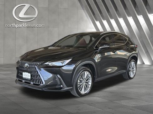 Certified 2025 Lexus NX 350 AWD w/ Cold Area Package image 3