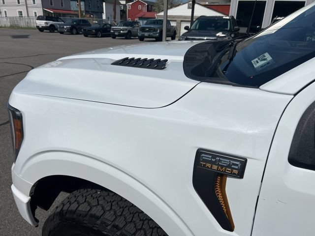 Used 2023 Ford F150 Tremor AWD/4WD image 7