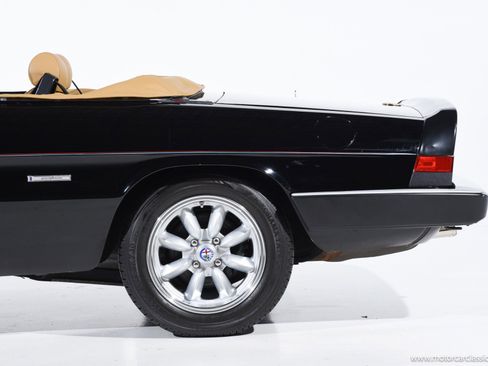 Used 1988 Alfa Romeo Spider Graduate image 19