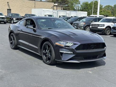 Used 2023 Ford Mustang Premium w/ Equipment Group 201A RWD image 1