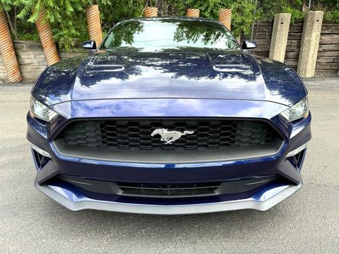 Used 2019 Ford Mustang Coupe image 3