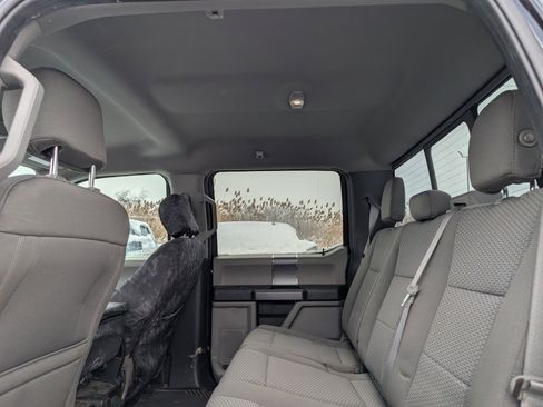 Used 2019 Ford F150 XLT w/ Equipment Group 302A Luxury image 19