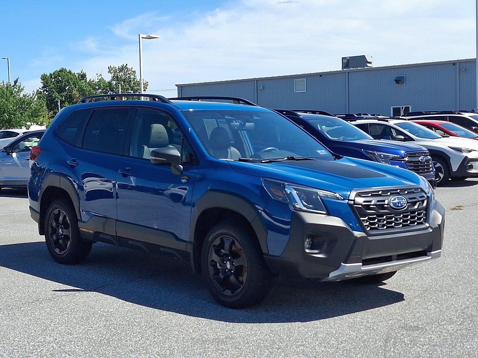 Used 2022 Subaru Forester Wilderness AWD/4WD image 3