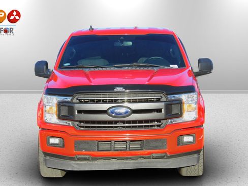 Used 2019 Ford F150 XLT w/ Equipment Group 302A Luxury image 3