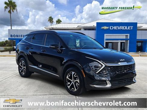 Used 2024 Kia Sportage EX w/ EX Premium Package image 1