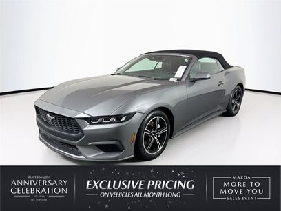 Used 2025 Ford Mustang Premium