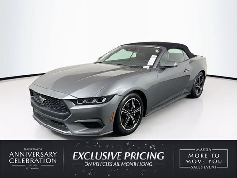 Used 2025 Ford Mustang Premium RWD image 1