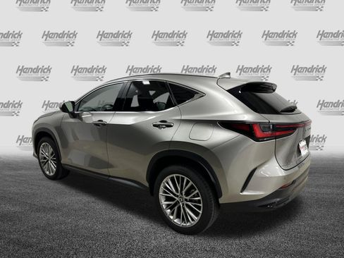 Used 2025 Lexus NX 350 AWD w/ Cold Area Package image 8