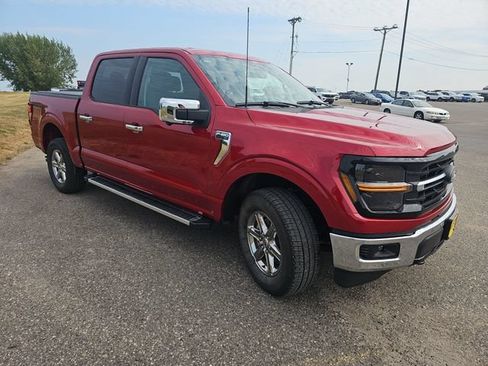 Used 2024 Ford F150 XLT w/ Equipment Group 302A MID AWD/4WD image 7