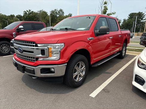 Used 2019 Ford F150 XLT w/ Equipment Group 302A Luxury AWD/4WD image 1