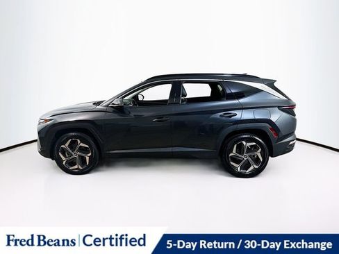 Used 2023 Hyundai Tucson Limited image 4