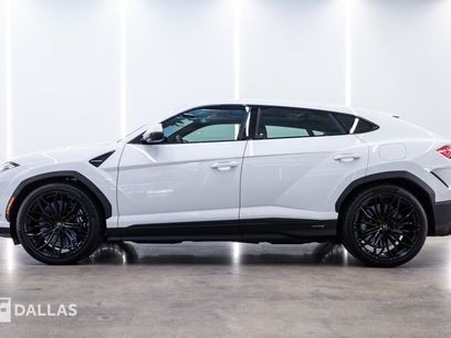 Used 2026 Lamborghini Urus SE