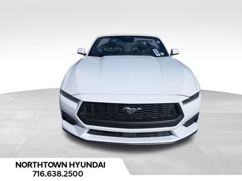 Used 2025 Ford Mustang Premium RWD image 5