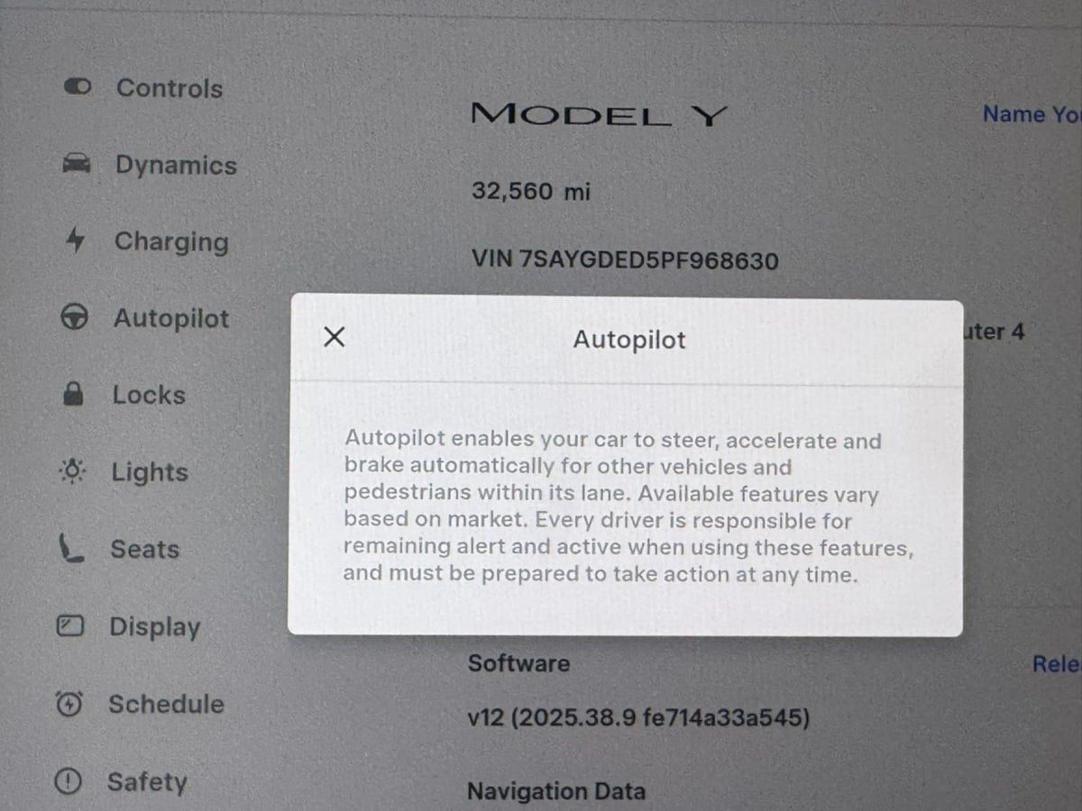 Used 2025 Tesla Model Y Long Range AWD/4WD image 22