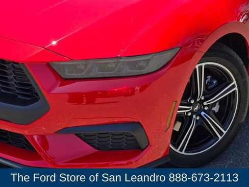 New 2025 Ford Mustang Coupe image 11