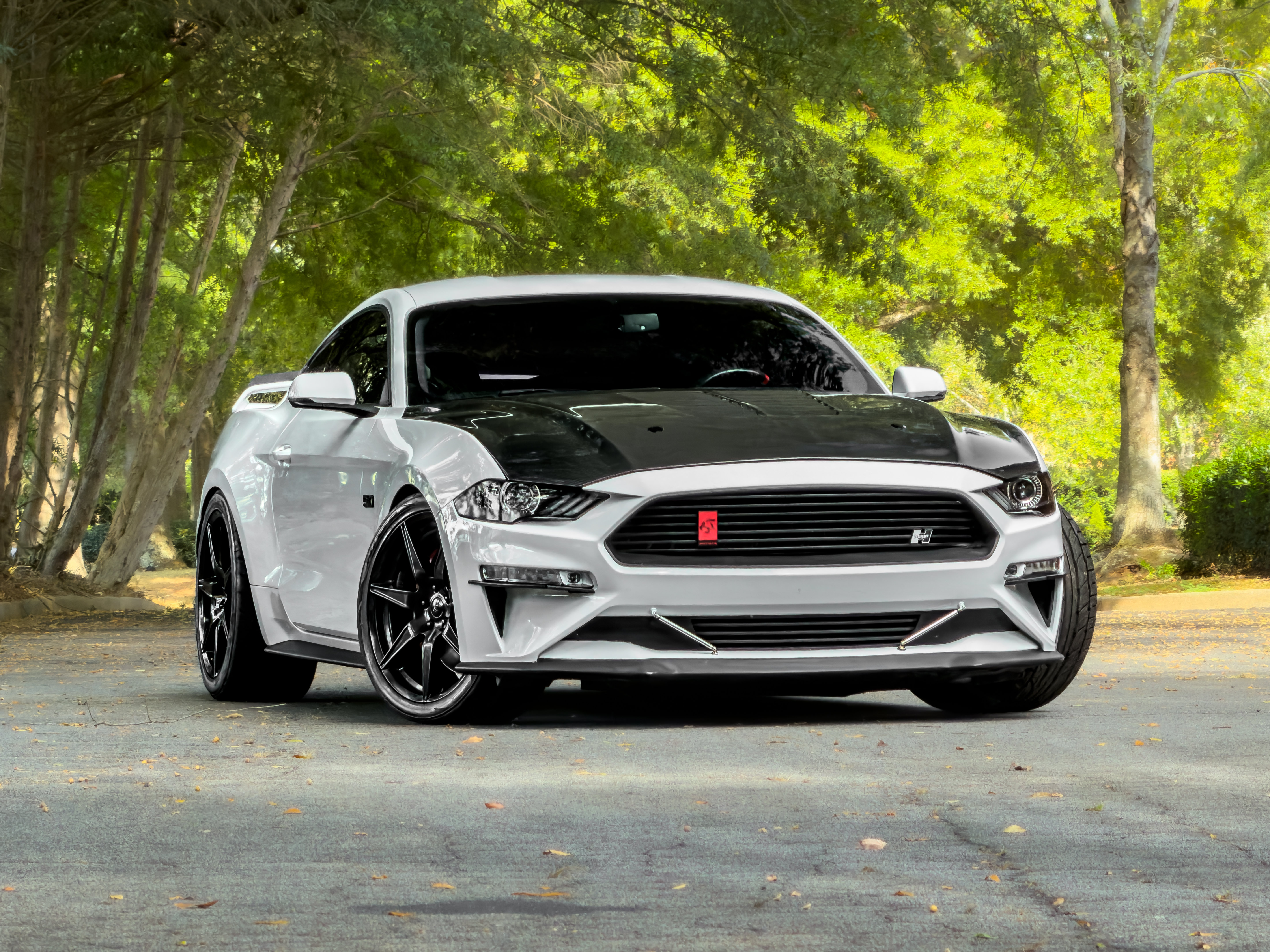 Used 2019 Ford Mustang GT Premium w/ GT Performance Package RWD image 1