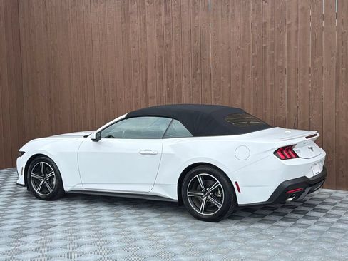 Used 2025 Ford Mustang Premium RWD image 16
