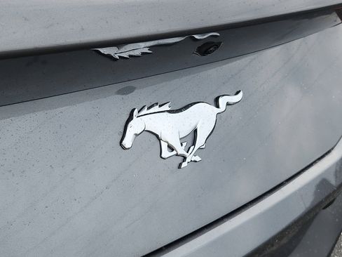 New 2026 Ford Mustang Coupe image 17