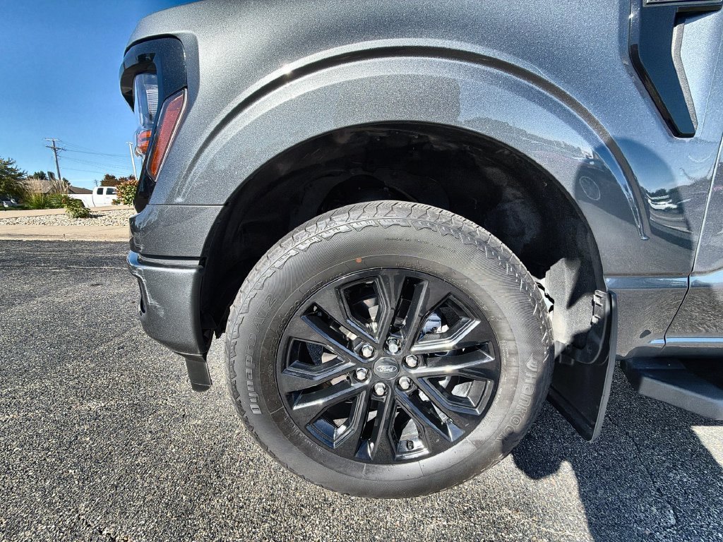 Used 2024 Ford F150 XLT w/ Equipment Group 303A High AWD/4WD image 17