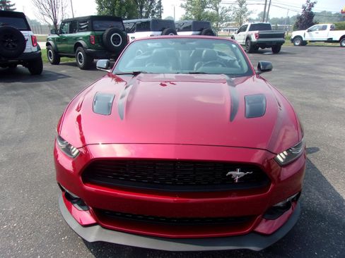 Used 2017 Ford Mustang GT Premium w/ Equipment Group 401A image 13
