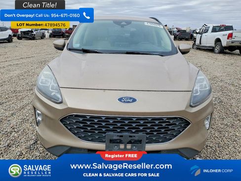Used 2020 Ford Escape Titanium image 7