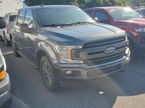 Used 2019 Ford F150 XLT w/ Equipment Group 302A Luxury AWD/4WD image 2