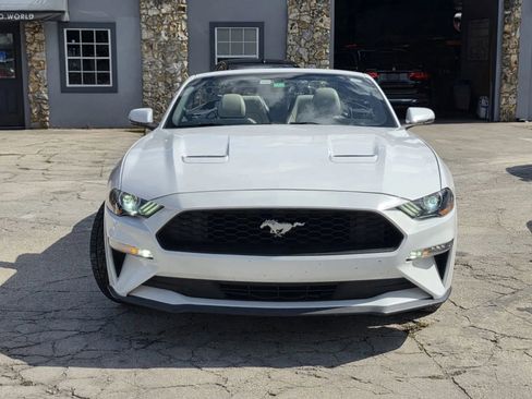 Used 2020 Ford Mustang Premium RWD image 12