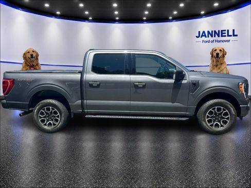 Used 2023 Ford F150 XLT w/ Equipment Group 302A High AWD/4WD image 4
