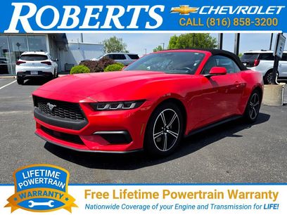 Used 2024 Ford Mustang Premium