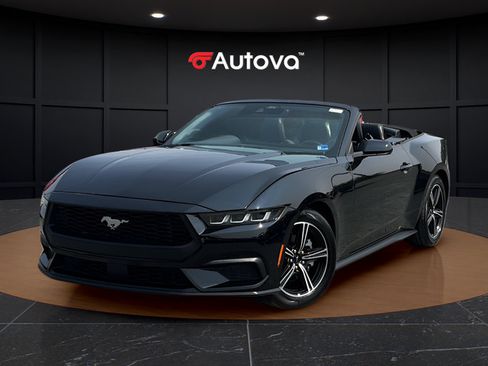 Used 2025 Ford Mustang Premium RWD image 1