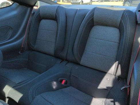 New 2026 Ford Mustang Coupe w/ Mustang Nite Pony Package image 14