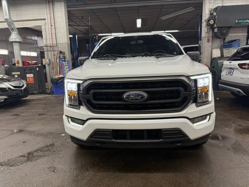 Used 2023 Ford F150 XLT w/ Equipment Group 302A High image 2